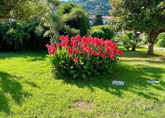Santa Lucia Apartment *